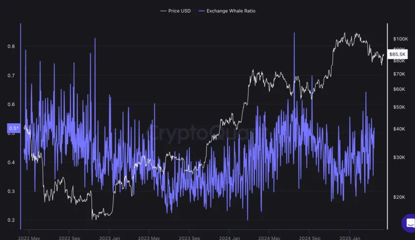 Will Bitcoin go up per whale action: Cryptoquant