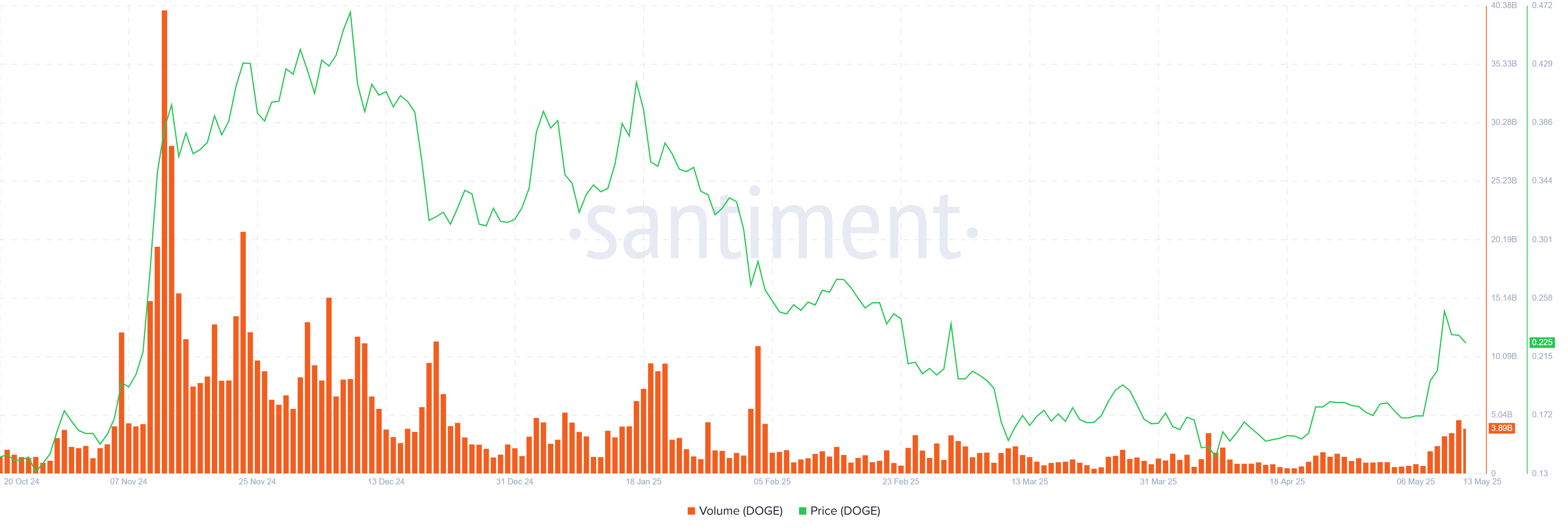 Dogecoin Transaction Volume