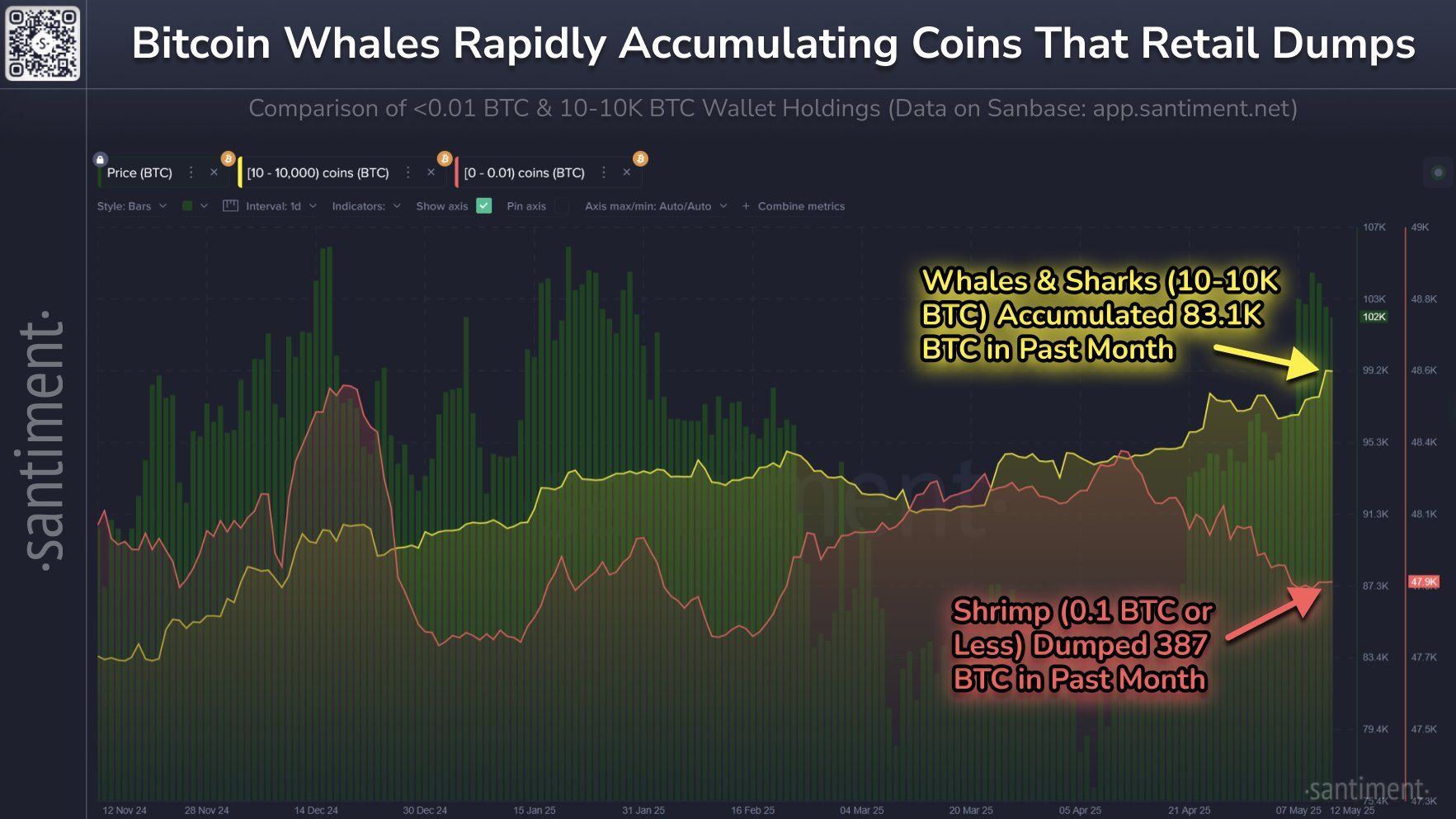 Bitcoin Investors Holding