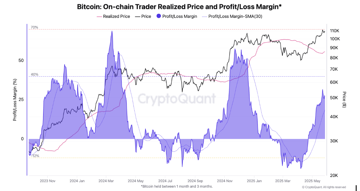 Bitcoin On-Chain Price and Profit/Loss Margin.