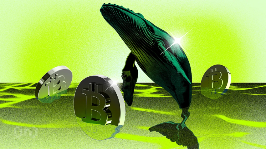 New Bitcoin Whales Now Hold Majority of BTC Capital | Weekly Whale Watch