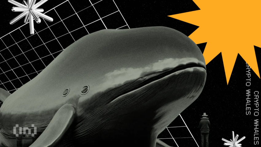 Ethereum Whales Remain Divided – What Lies Ahead for ETH Investors?