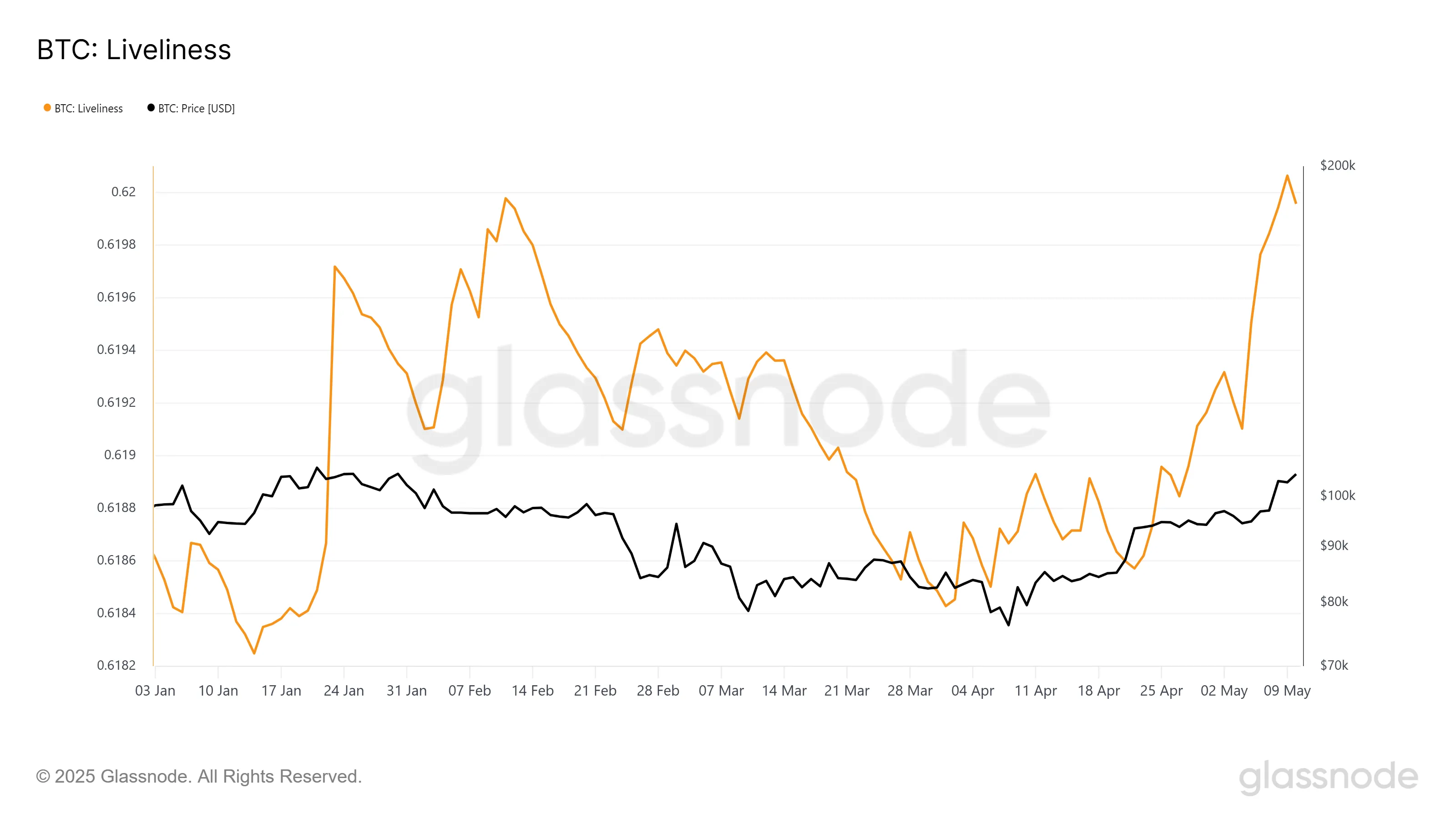 Bitcoin vitality
