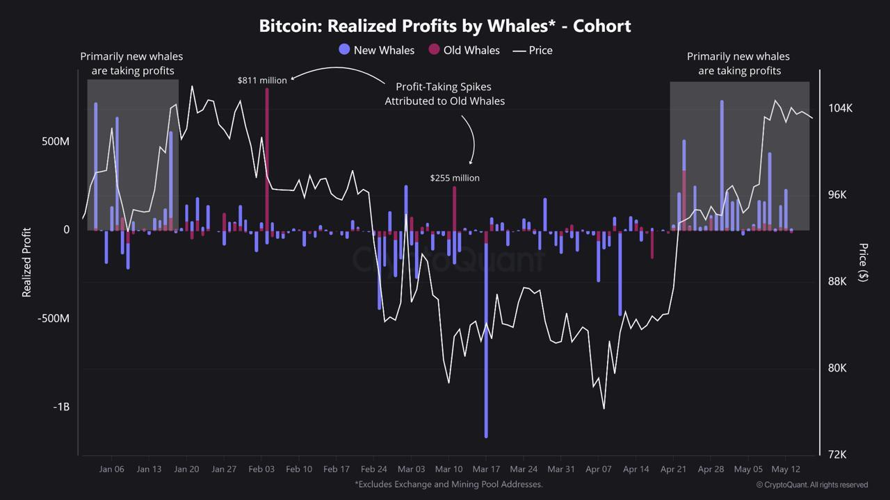 New Bitcoin Whales Are Taking Profits and Delaying a Breakout | Weekly Whale Watch