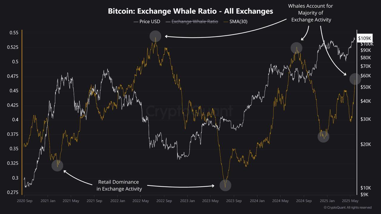 Bitcoin Whale Activity Signals Warnings for the Market | Weekly Whale Watch