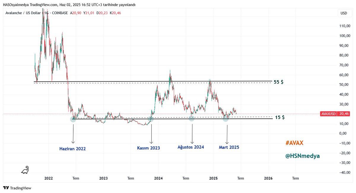 AVAX Price Performance Over the Last 4 Years. Source: Hasan