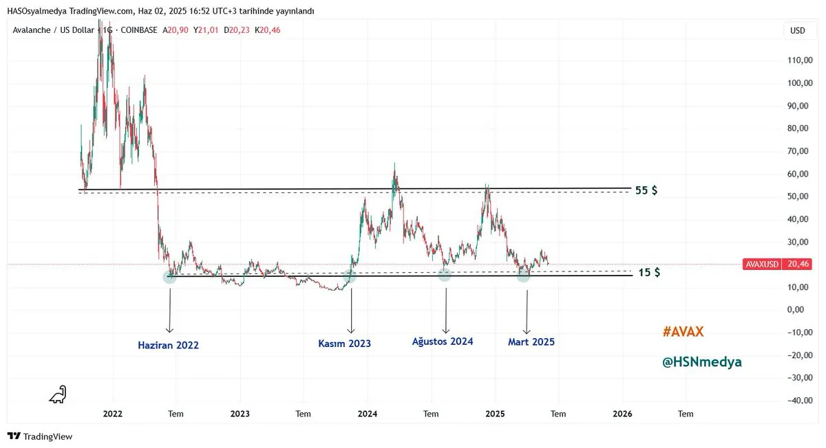 AVAX Price Performance Over the Last 4 Years. Source: Hasan