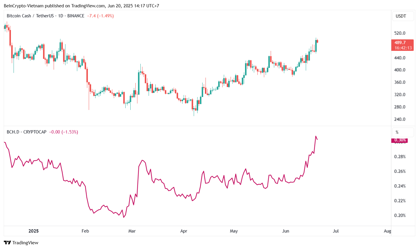 No Hype, No Headlines: Bitcoin Cash Quietly Becomes a Top 2025 Performer
