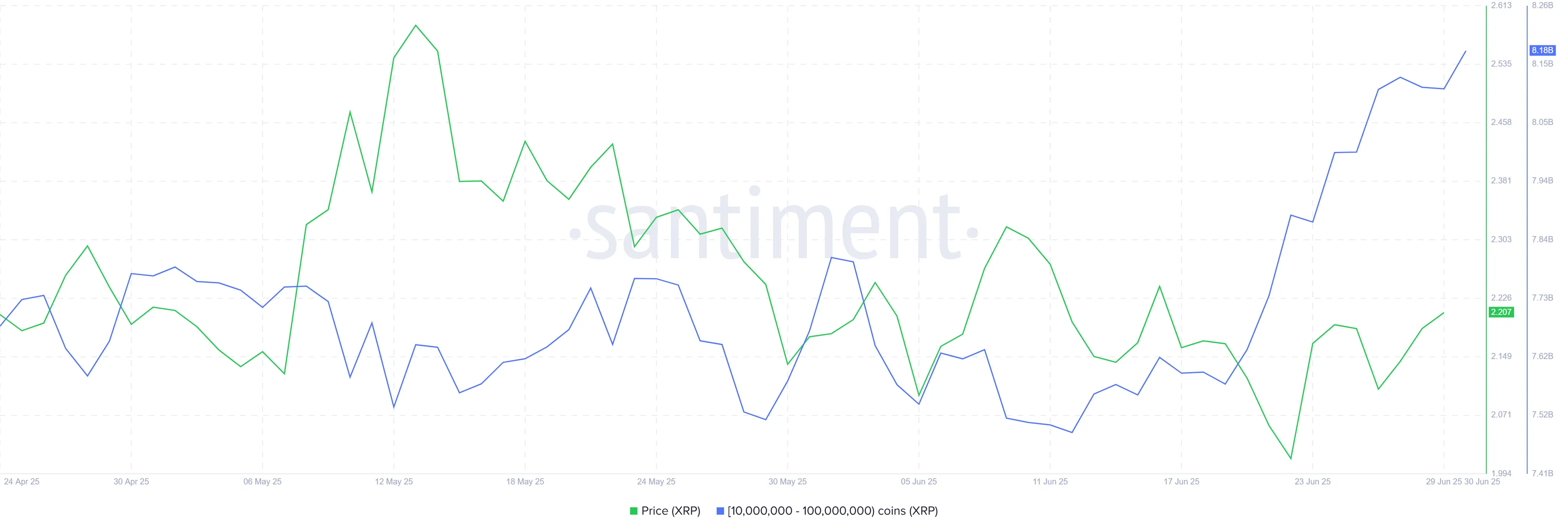 XRP Whale Holding