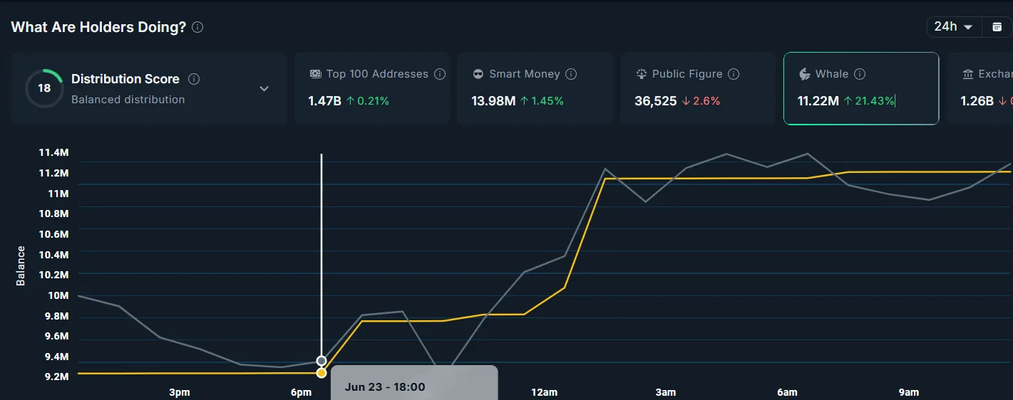 What you buy encryption whales after the shooting was announced star-news.press/wp Air whale activity.
