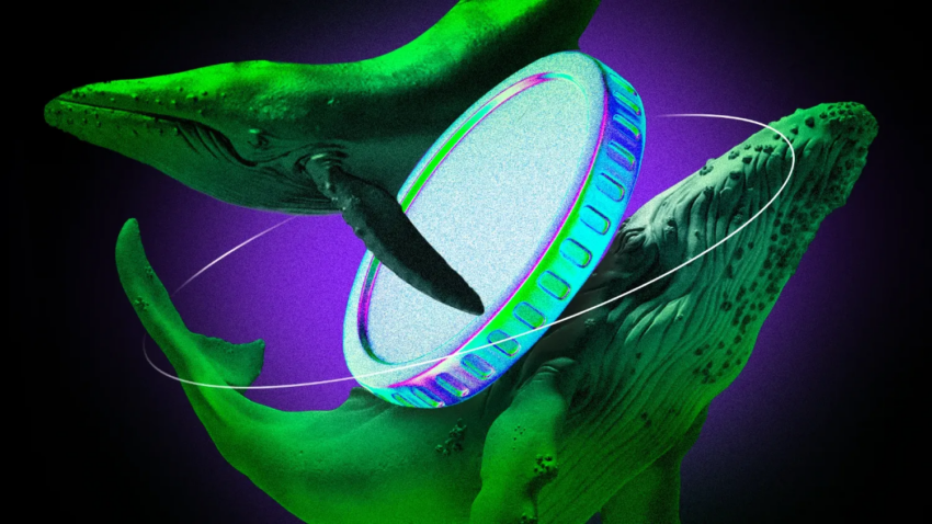 Crypto Whales Bought These 3 Altcoins in the Fourth Week of June 2025