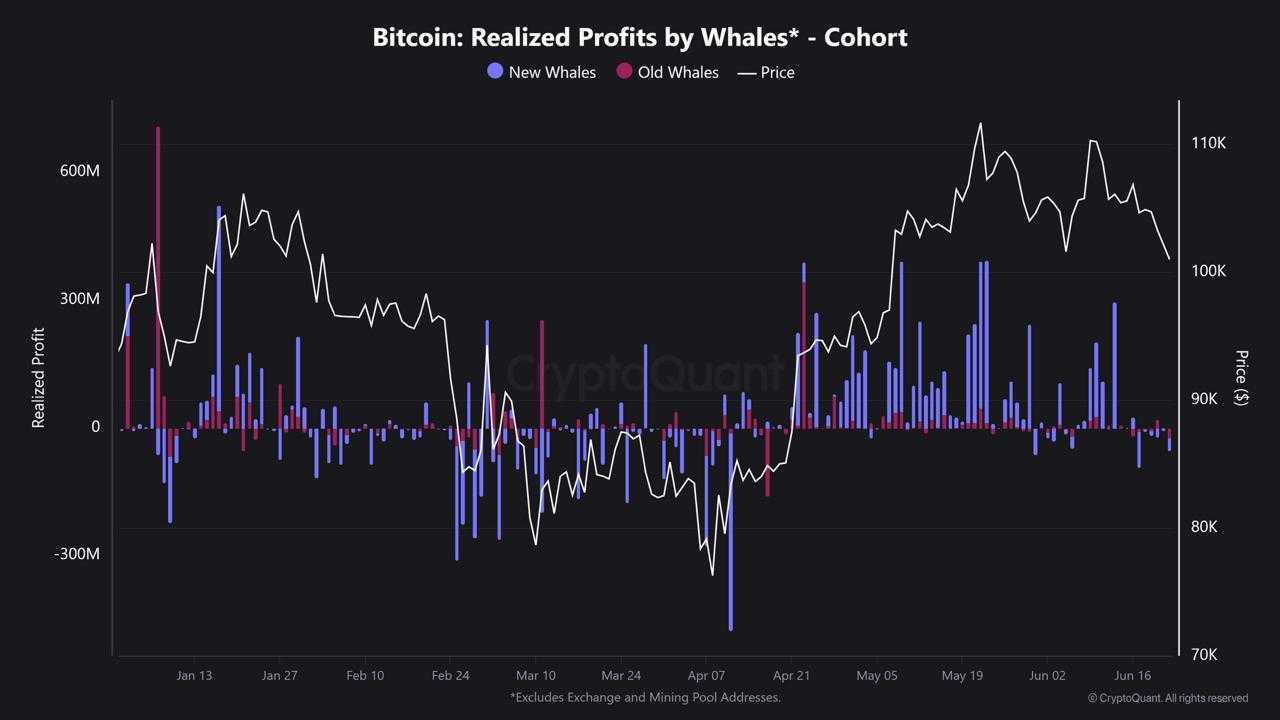 New Bitcoin Whales Are Fueling Market Volatility | Weekly Whale Watch