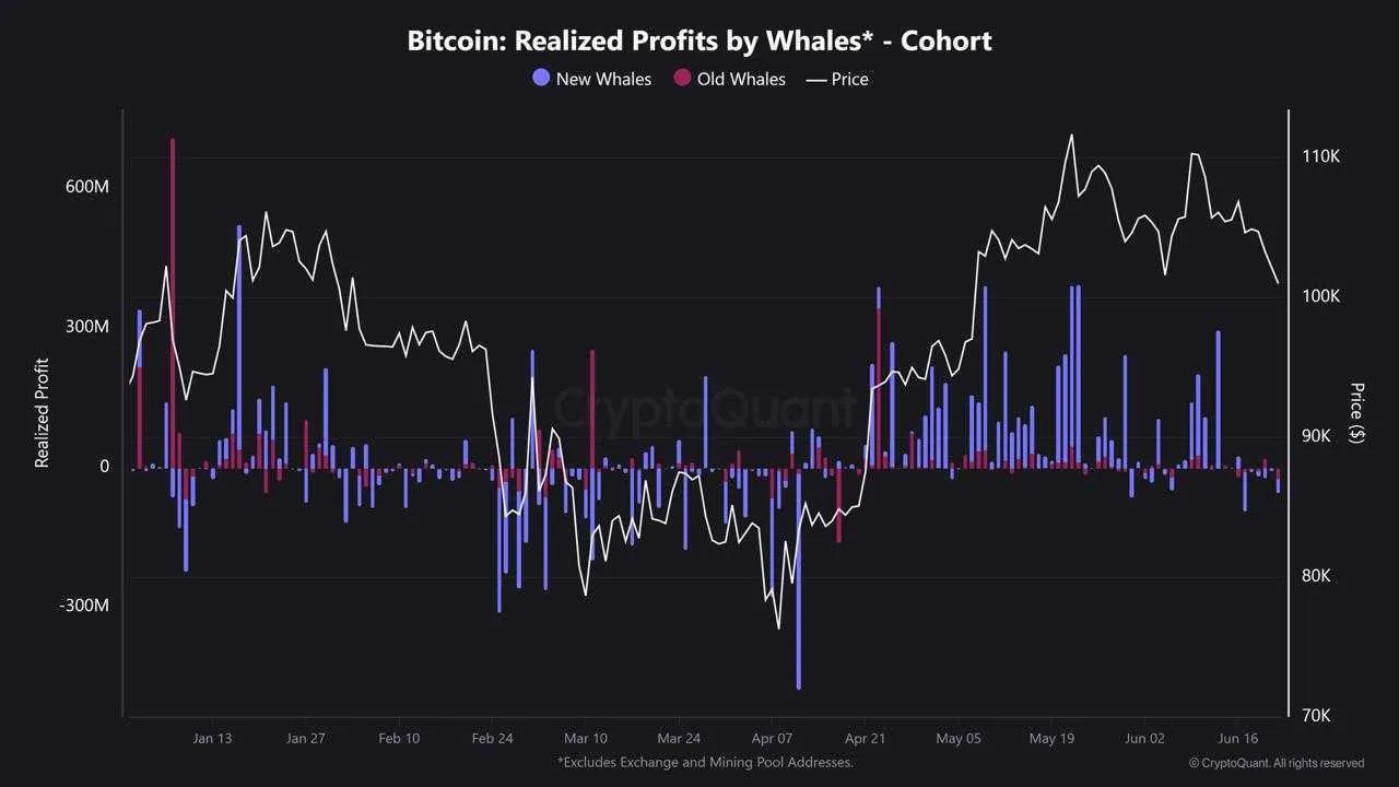 bitcoin whale profit