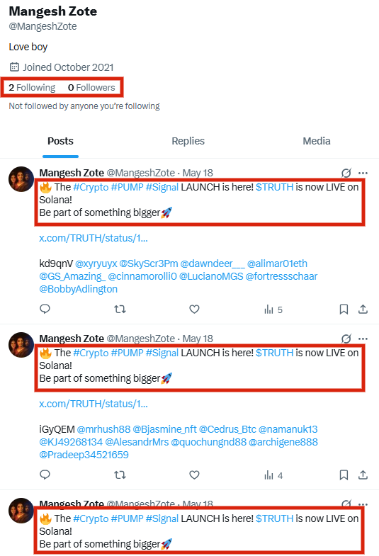 meme coin scam