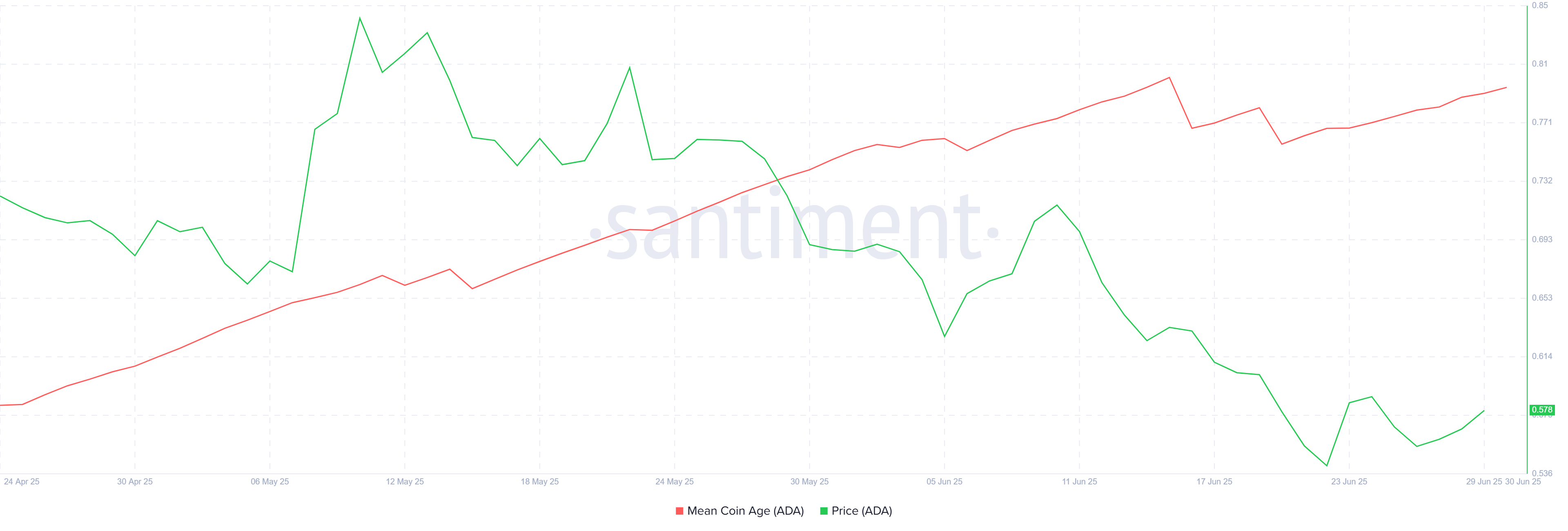 Cardano Jumps 12 % as Long-Term Holders Refuse to Sell