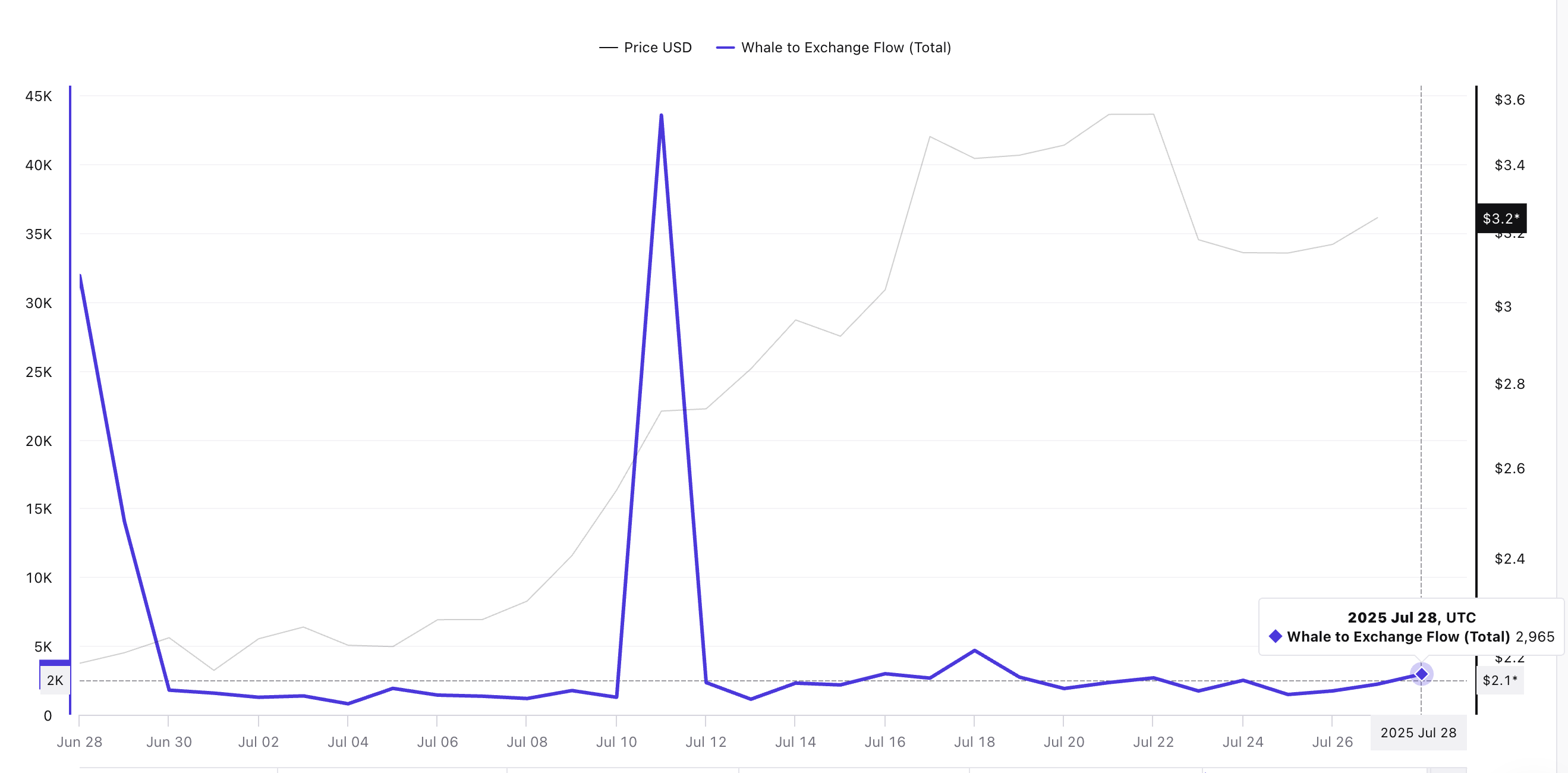 XRP Eyes New All-Time High as Whale Sell Pressure Eases by 93%