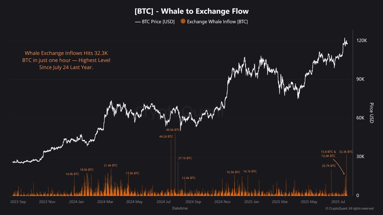 Bitcoin Whales Are Potentially Driving an Altcoin Season | Weekly Whale Watch