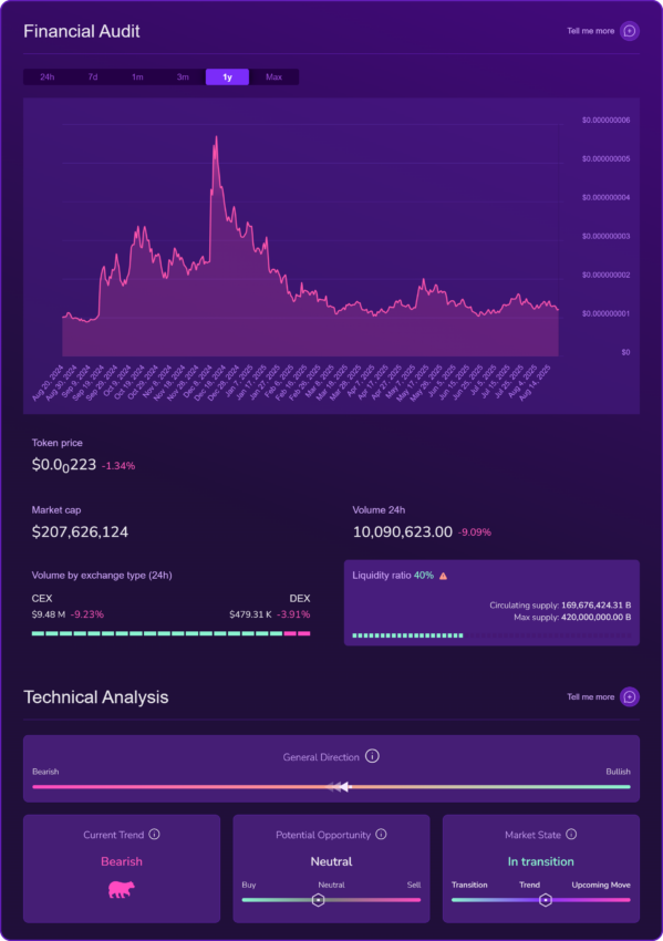X-Ray financial audit