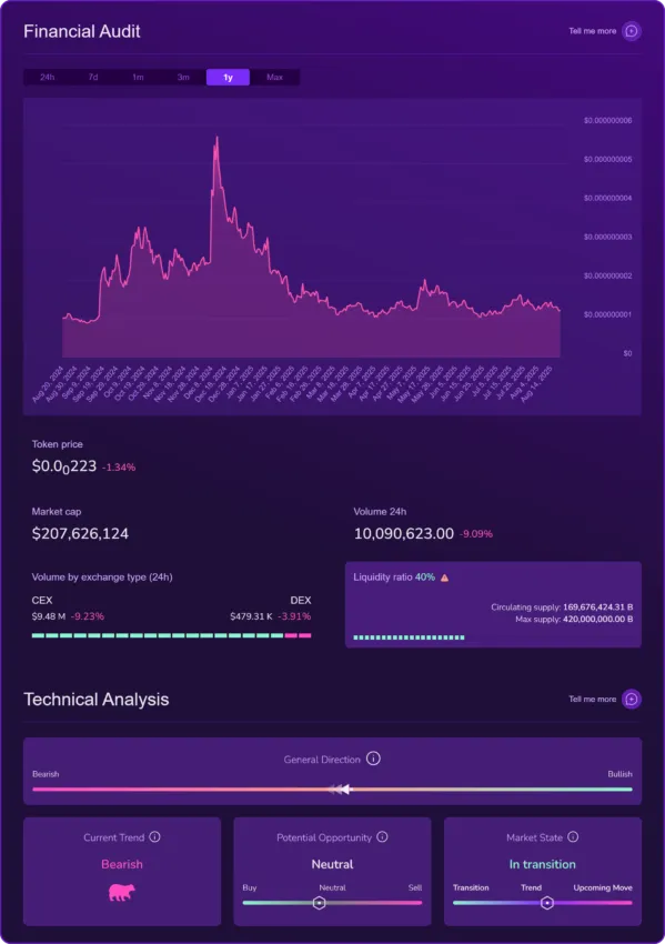 X-Ray financial audit