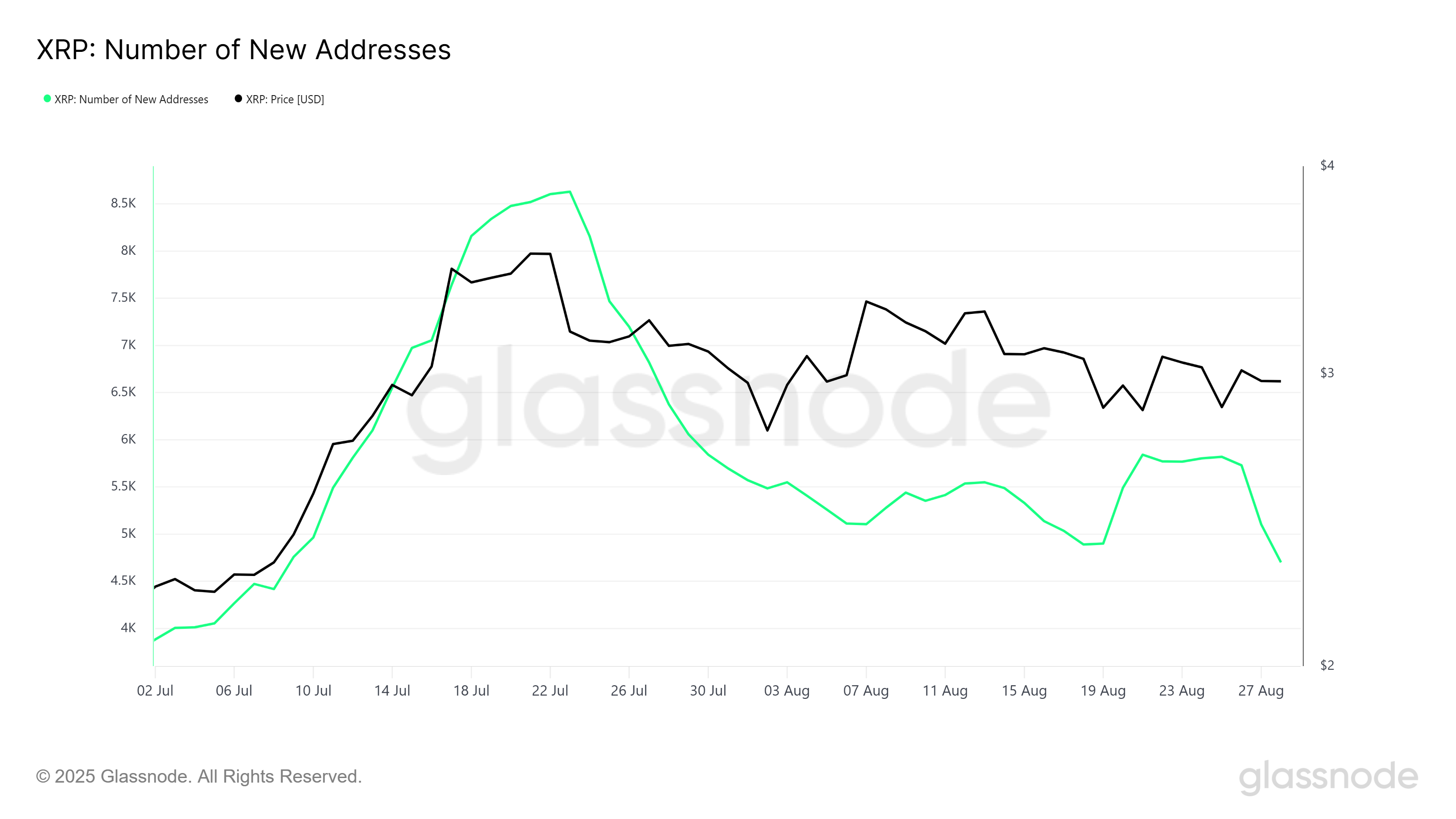 XRP New Addresses