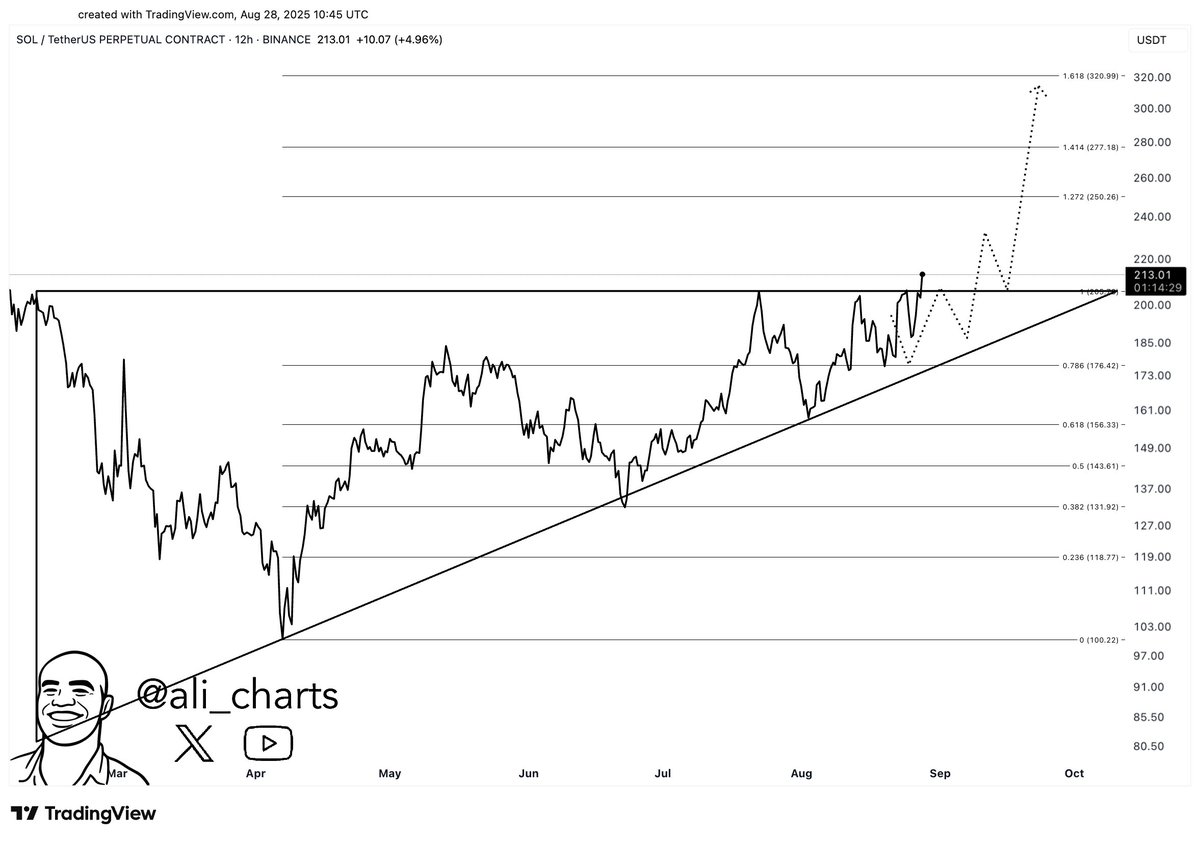 Solana Price Surge: US Pilot and Institutional Support
