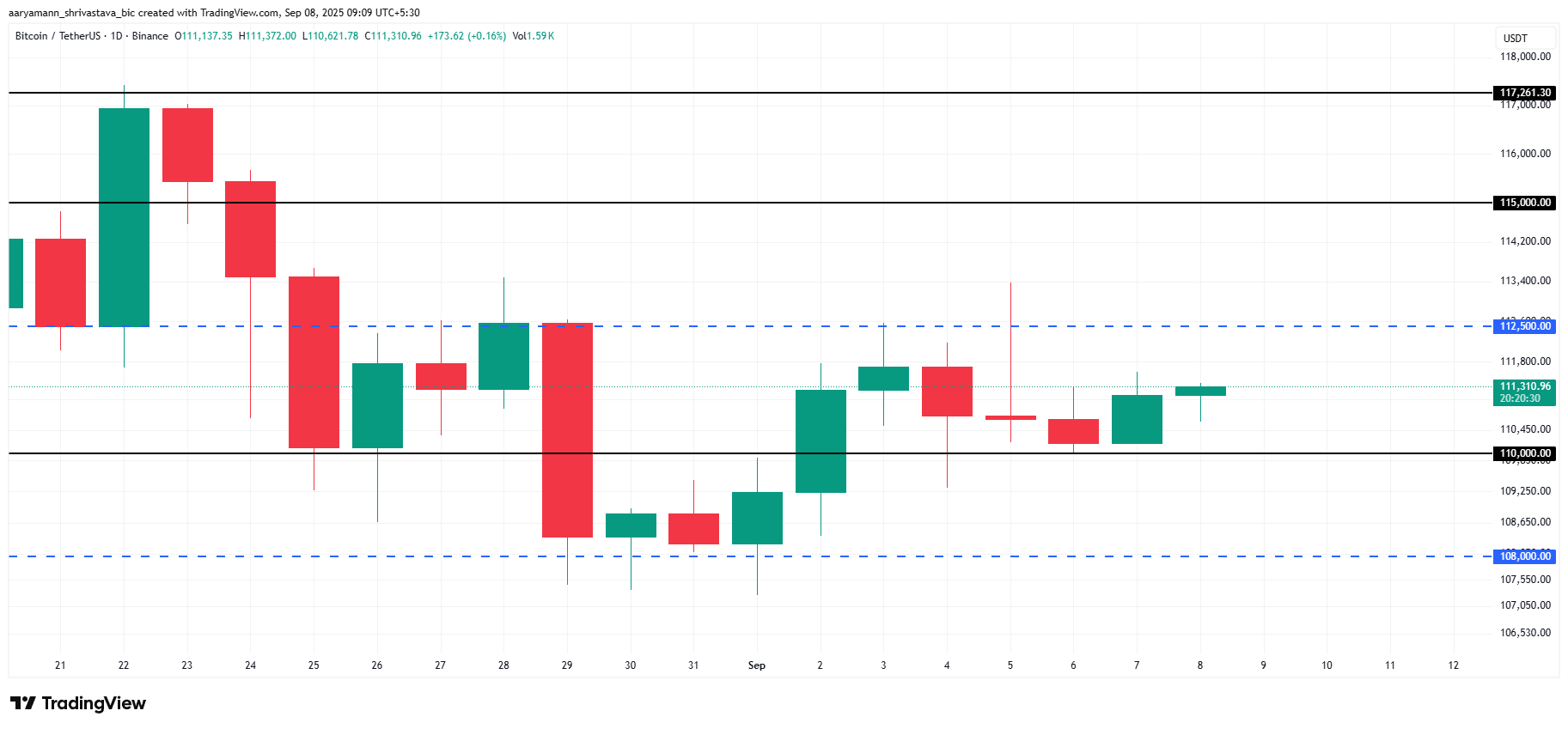 Bitcoin Price Analysis.