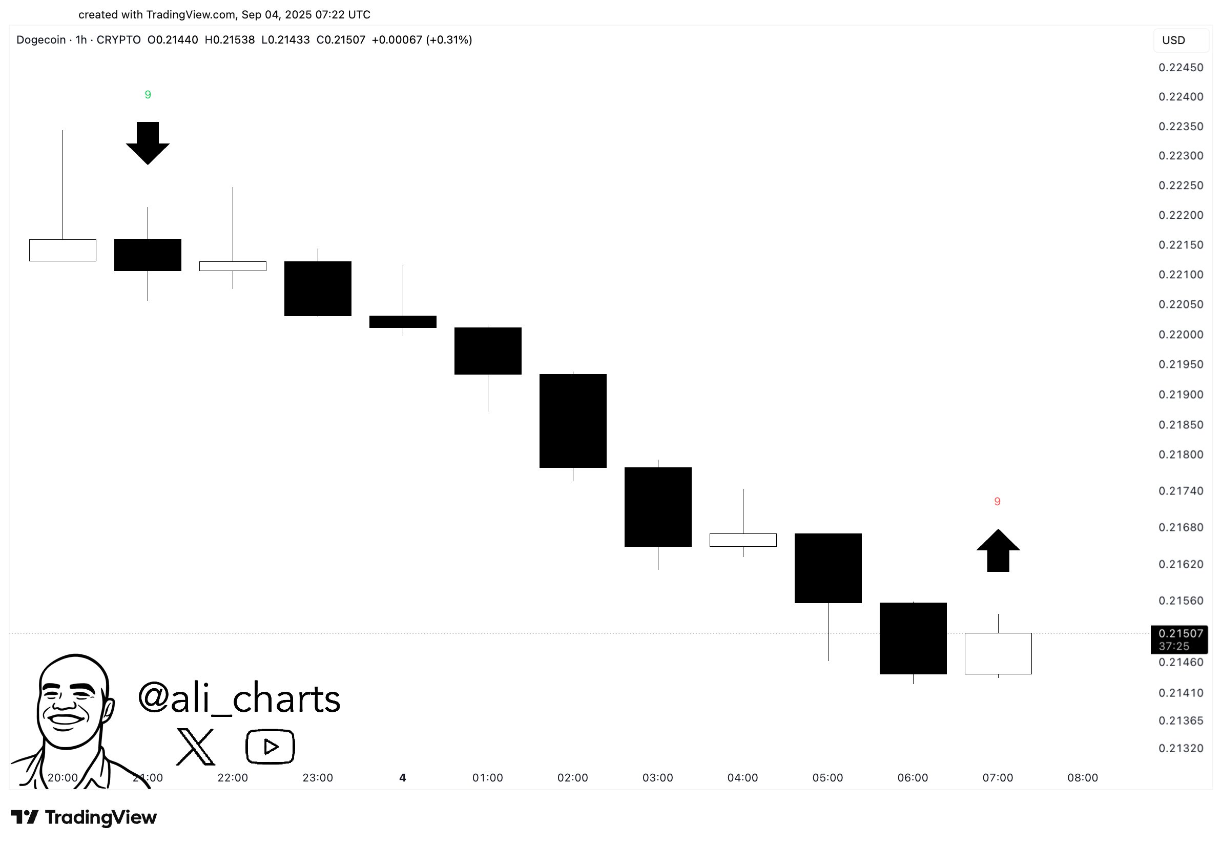 DOGE Quo Vadis: ETF Nears and Whales Trade Aggressively